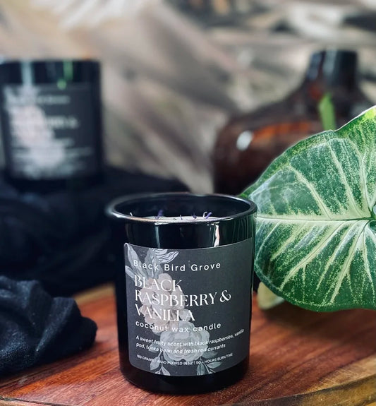 Black Raspberry & Vanilla Pure Coconut Wax Candle