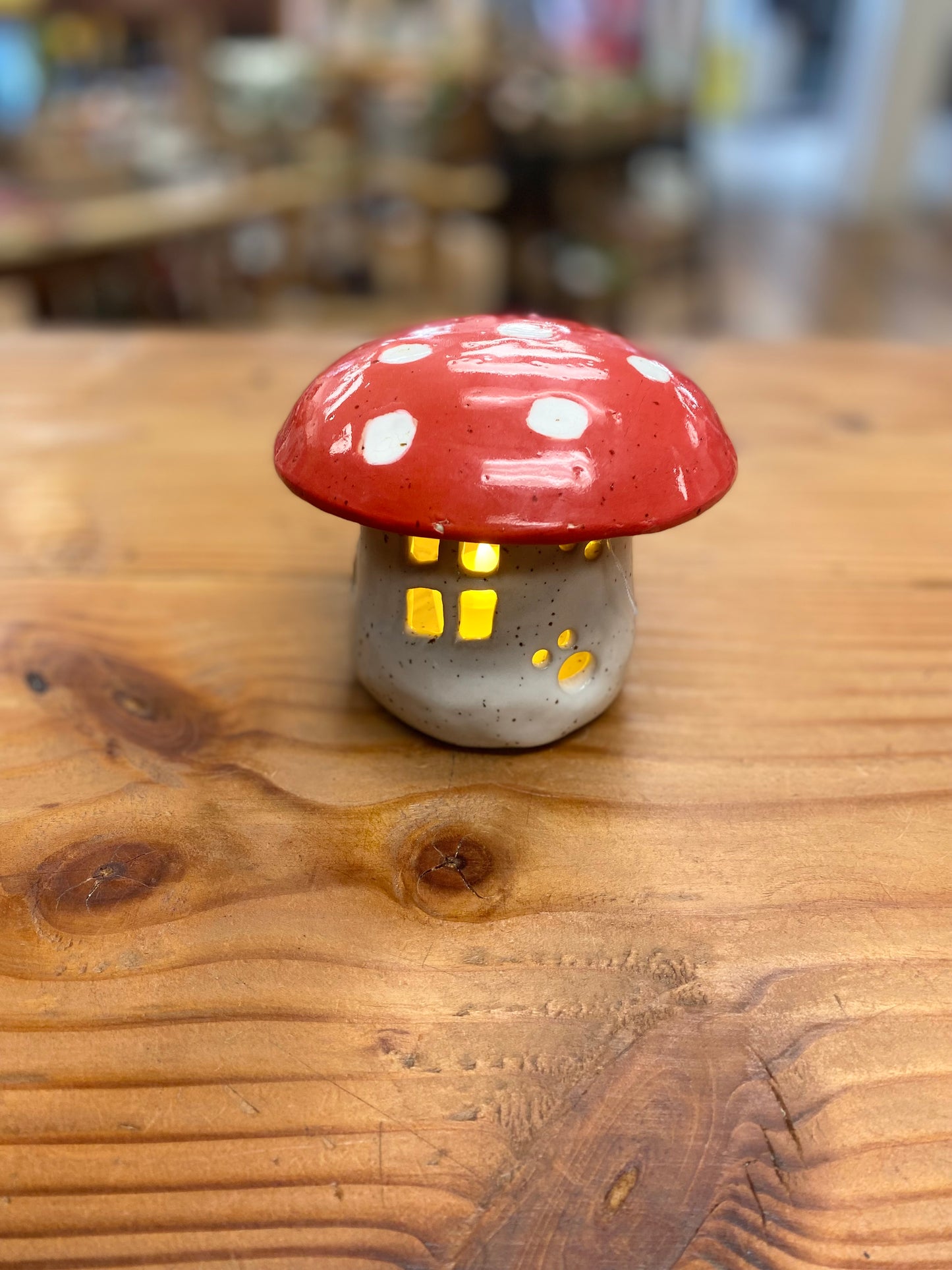 Mushroom house luminary