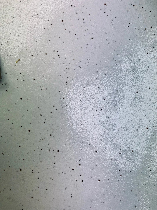 Speckled Clay bowl/platter by Kathy Thorpe