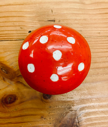 Mushroom house luminary