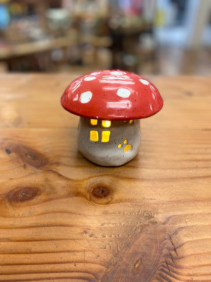 Mushroom house luminary