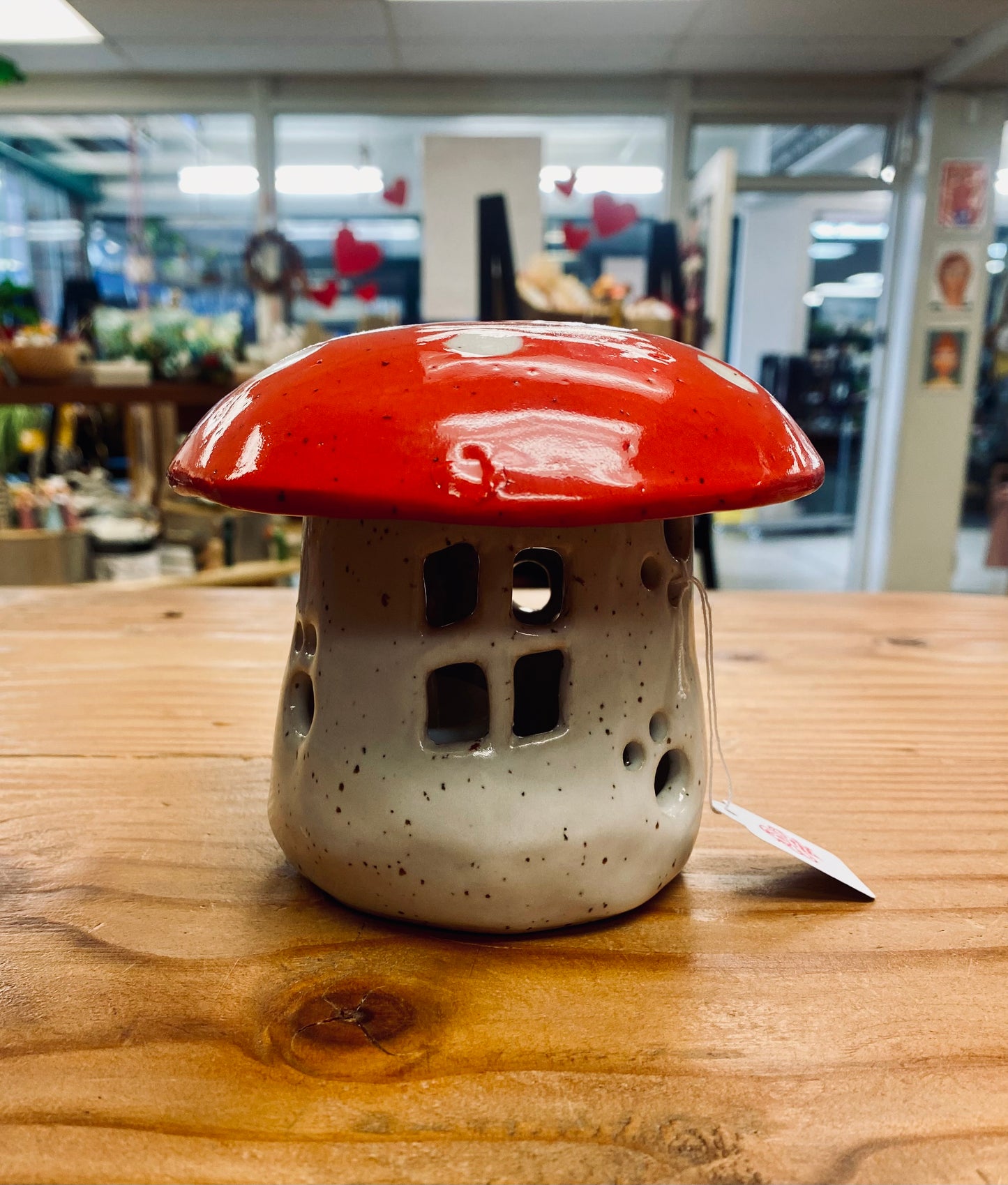 Mushroom house luminary