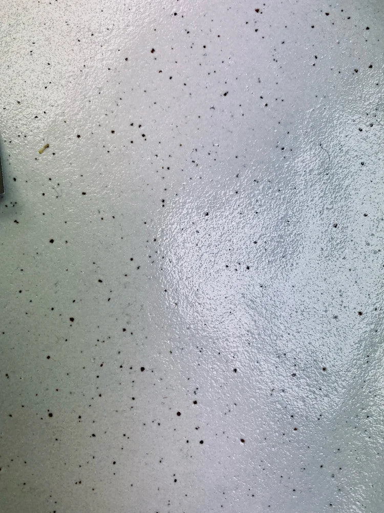 Speckled Clay bowl/platter by Kathy Thorpe