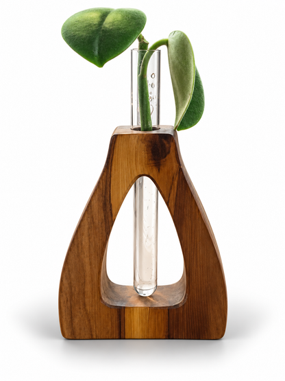Propagation Station