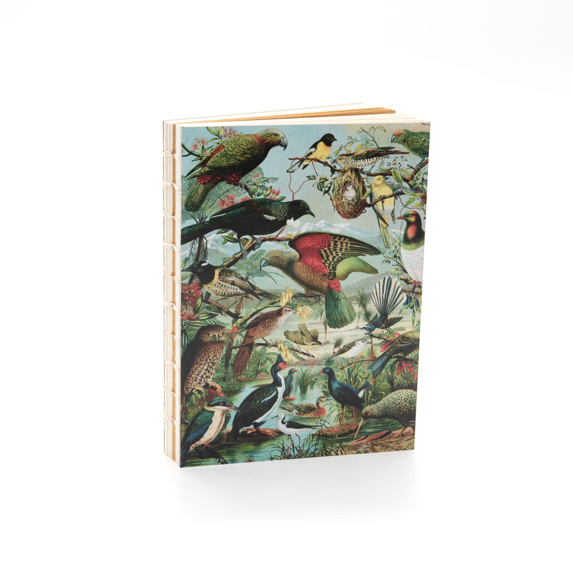 NZ Native Art Notebook